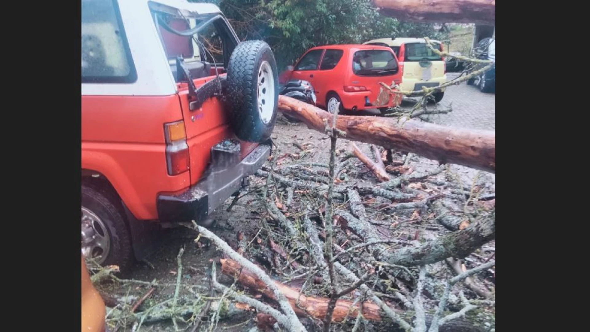 Colli a Volturno: il vento sradica albero in zona San Lorenzo che cade e danneggia auto in sosta. (FOTO).